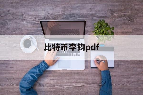 比特币李钧pdf(比特币专家讲课视频)